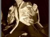 Kirk Kreole Elvis